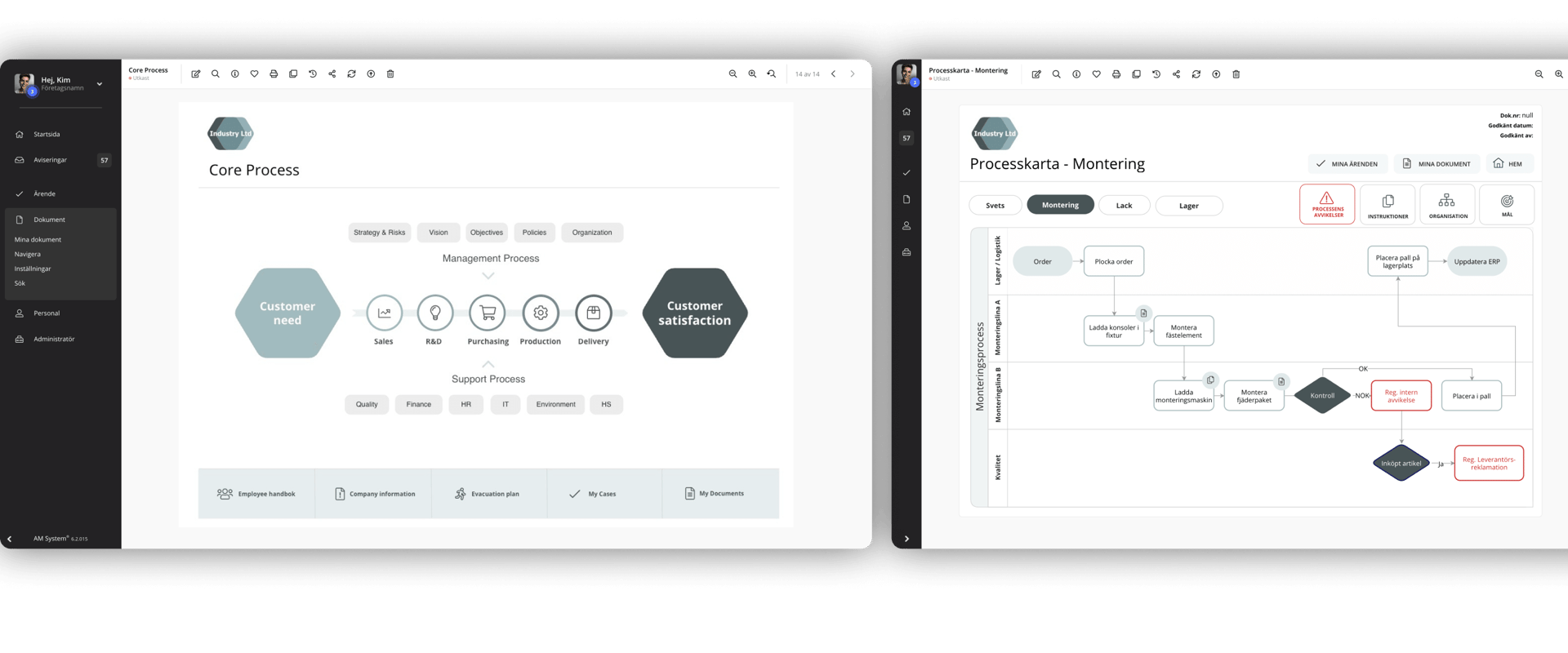 Main process and process mapping in your management system