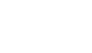 Logotyp-3N-vit