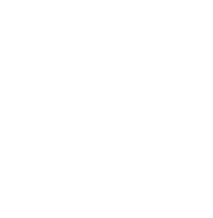 Logotyp-LK-vit